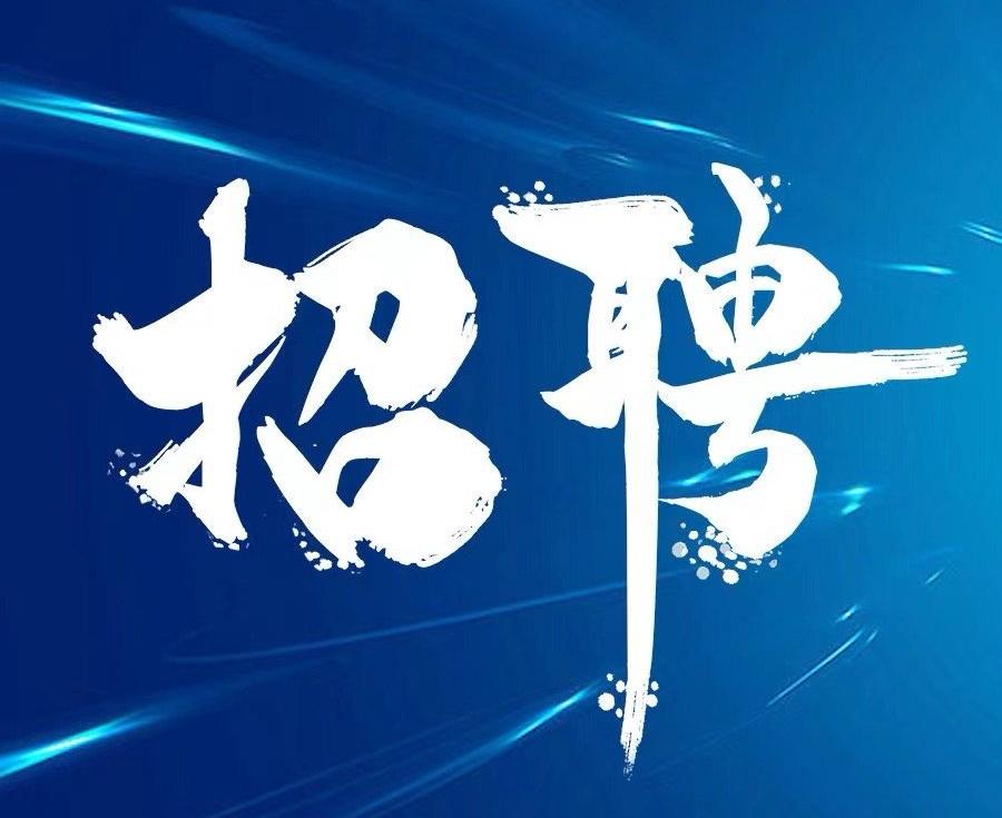 精英招募,共筑美好未来